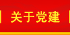 关于党建